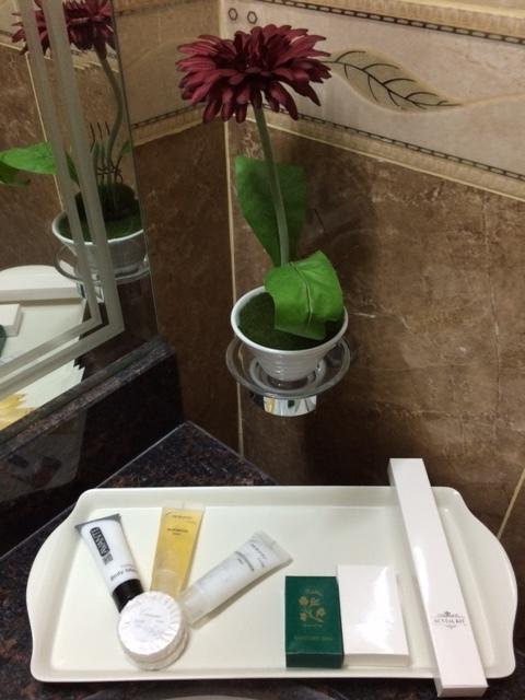 Doha Dynasty Hotel Oda fotoğraf